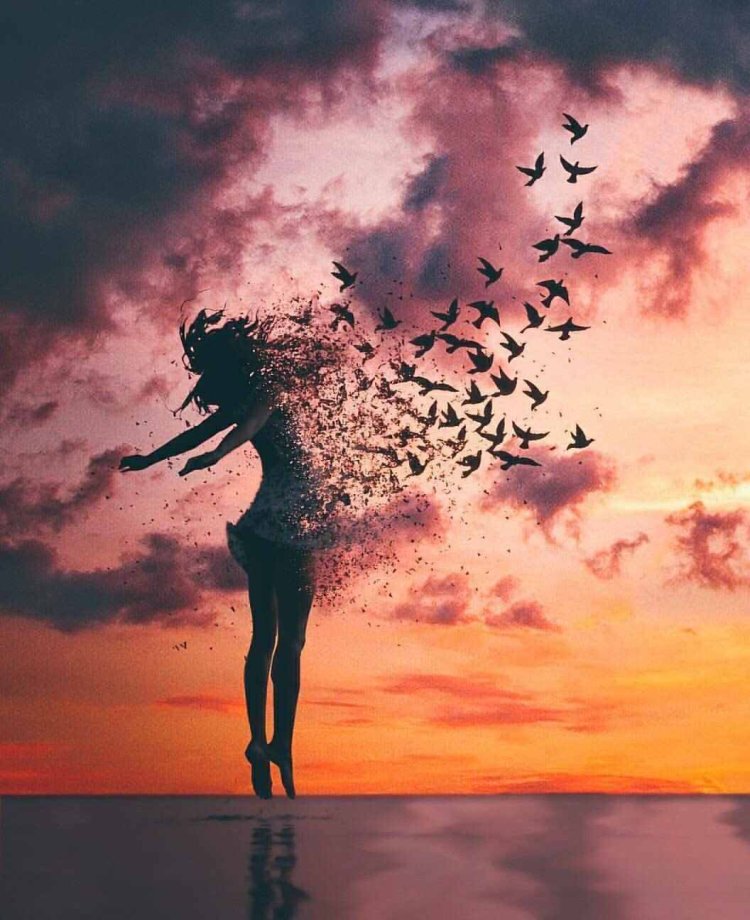 Self improvement advices