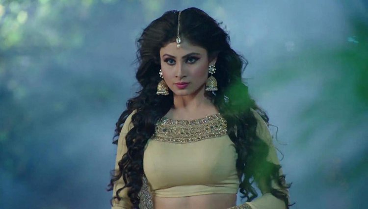 Naagin C11e