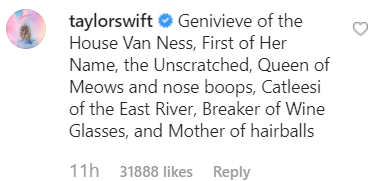 Taylor Swift put a title for the cat