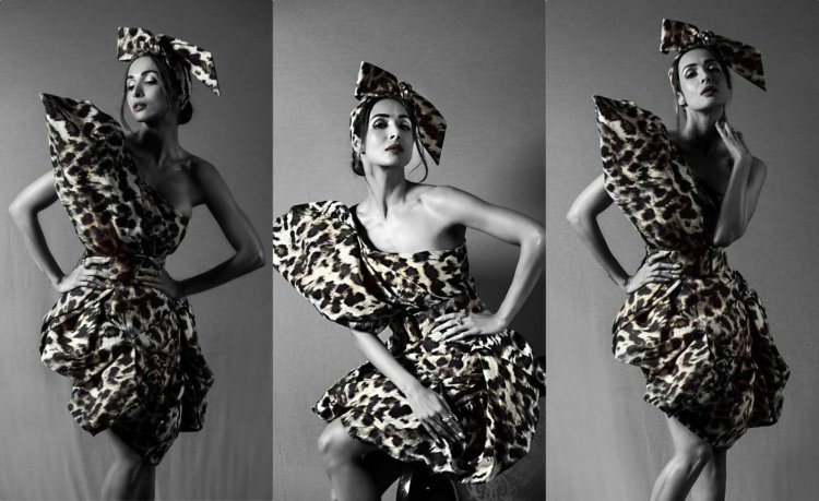 Malaika Arora Oozes Hotness In A Leopard Print Dre