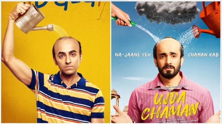 Bala's plagiarism: Ujda Chaman and Bala 