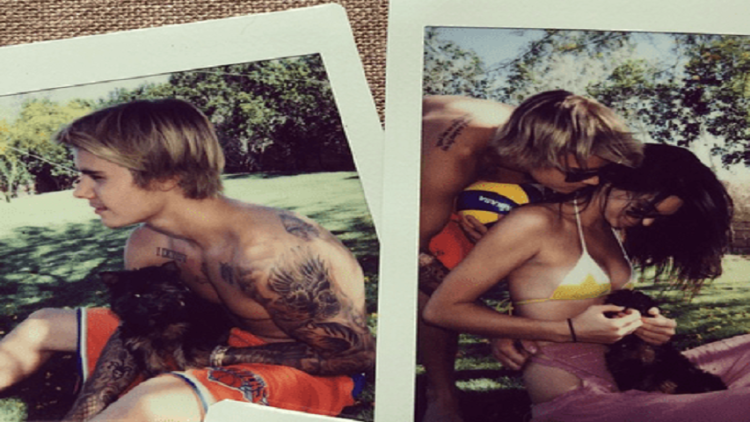 Kendall Jb Bf92kk