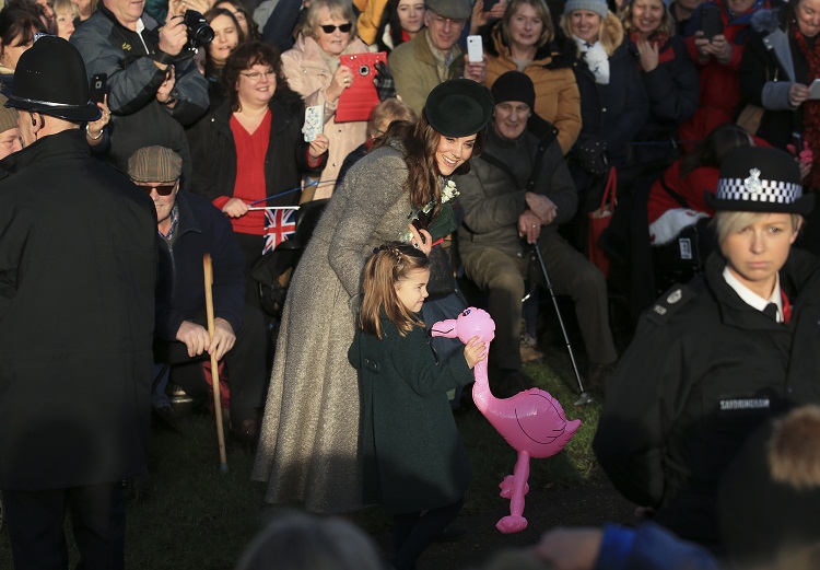 Charlotte Flamingo