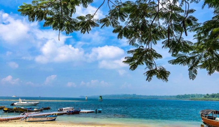 Cf8c7cfc 5b86 41ad A80f 3c7f4e3ae0e9 E156475125873