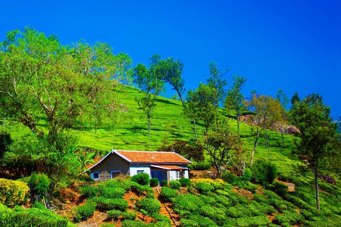 Coonoor Cover Picture