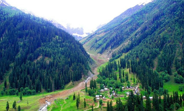 Df725411ae5449e4cbb550ebbec58eba