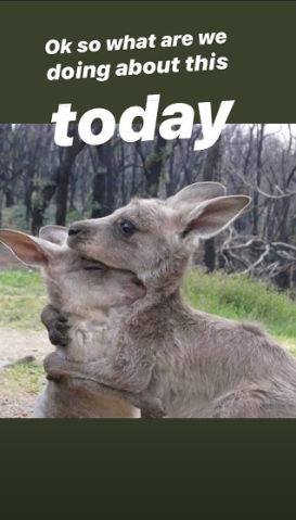 Tiger Shroff on Australia's bushfires