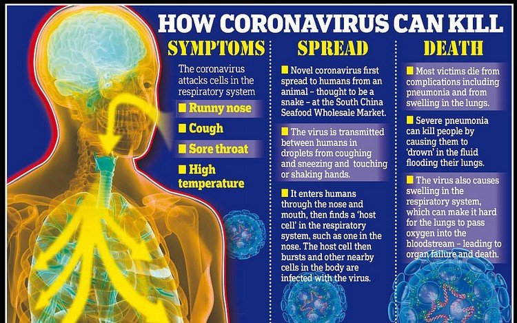 Coronavirus