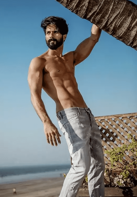 Shahid Kapoor top bollywood hottest body