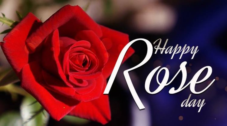 Rose-Day-of-Valentine-Week