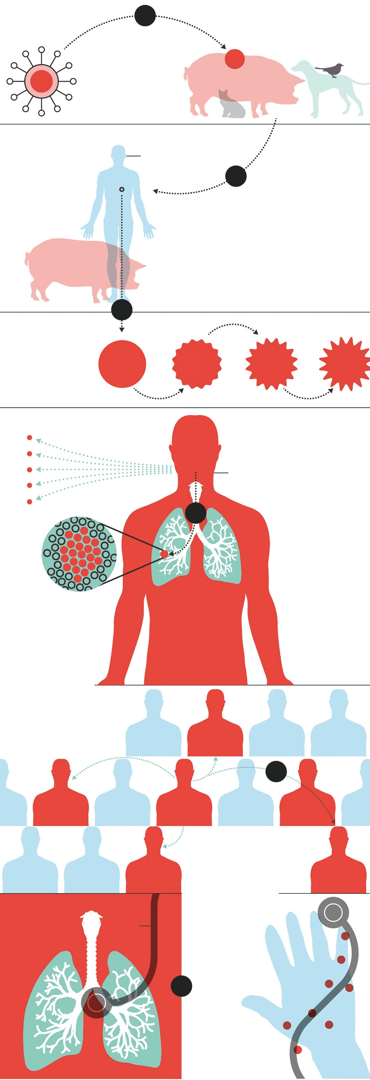 Coronavirus-transmission