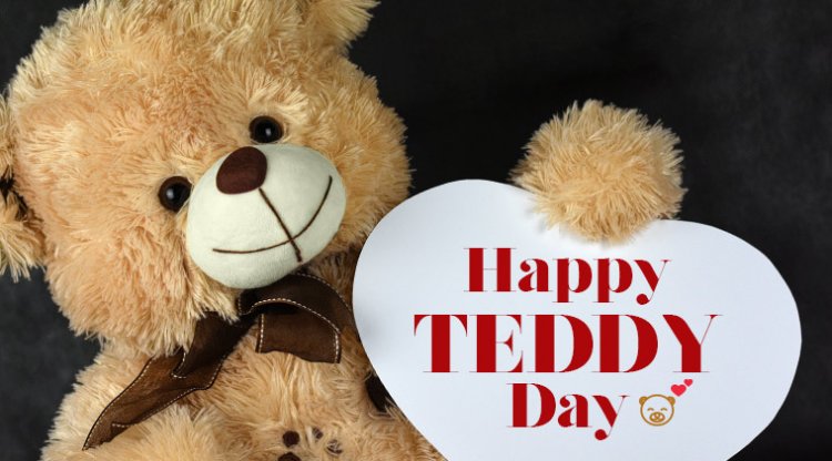 Teddy-Day-of-Valentine-Week