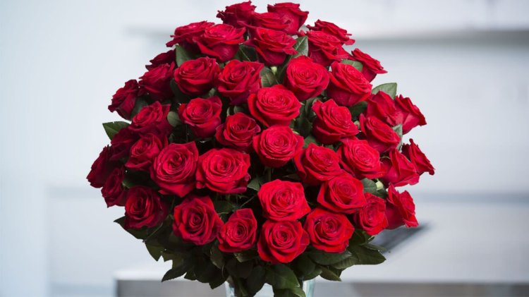 February-Special-Days-For-Lovers-rose-day