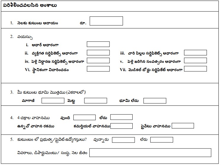 Ysr-Pension-Kanuka-Application-Form-2