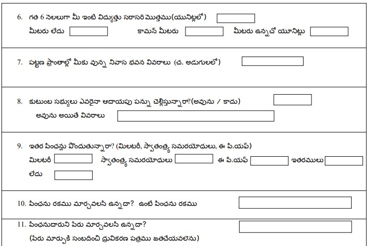 Ysr-Pension-Kanuka-Application-Form-3