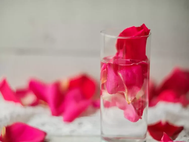 rose-water-best-natural-toner-for-oily-skin