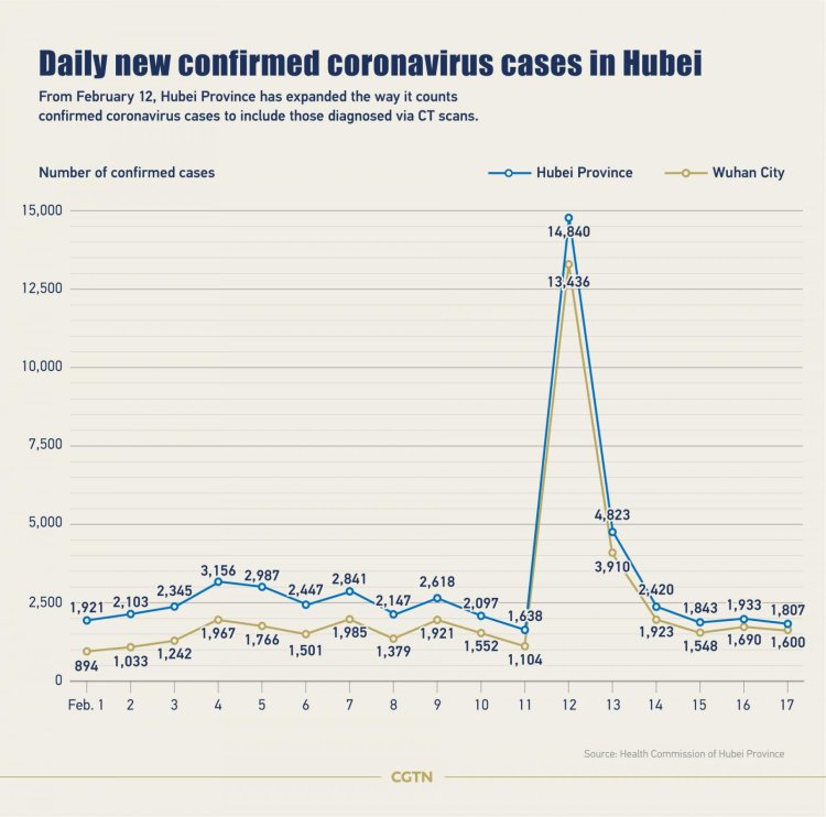 Coronavirus-Diagram-On-Feb-17