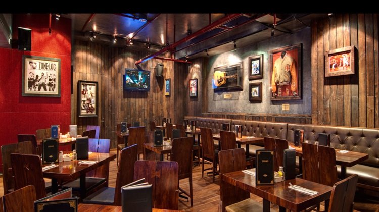 Lights Camera Action