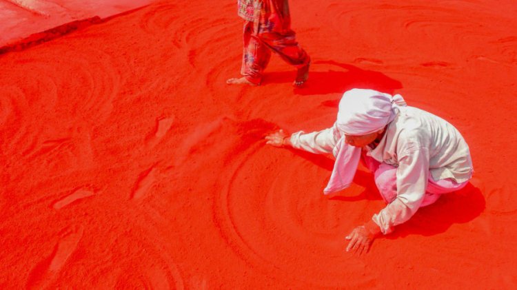 Holi Celebrated In India 9