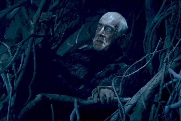 Max Von Sydow As Three Eyed Raven