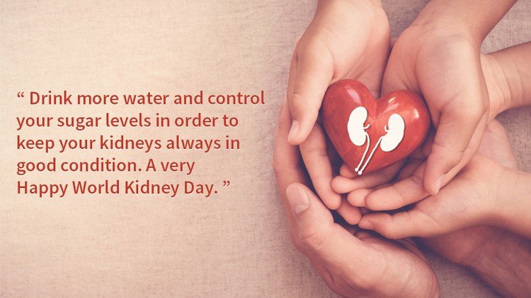 World Kidney Day 2020 quotes 4