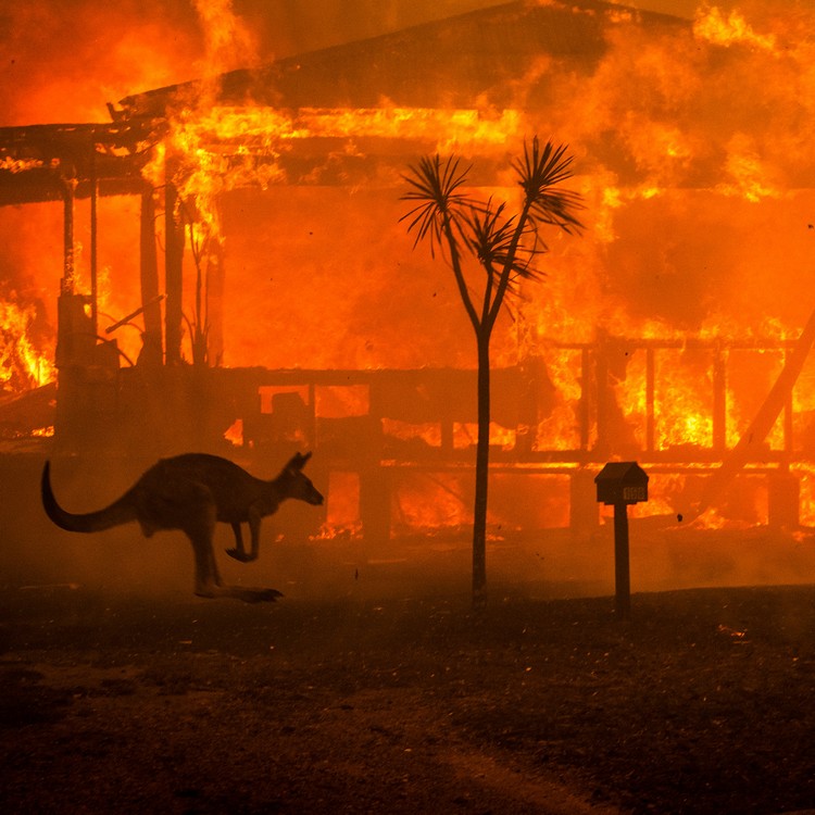 Bushfire In Australia