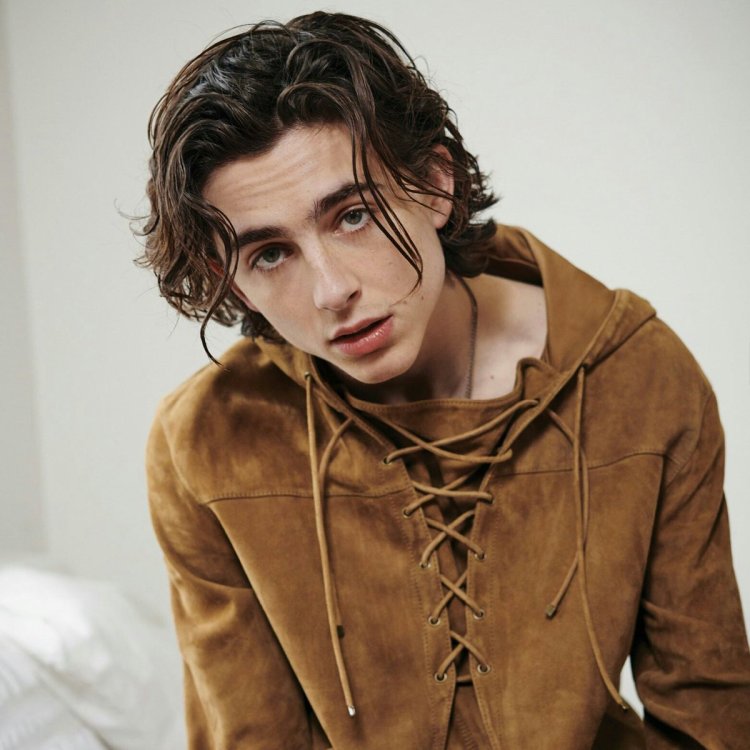 Timmy Hollywood next generation