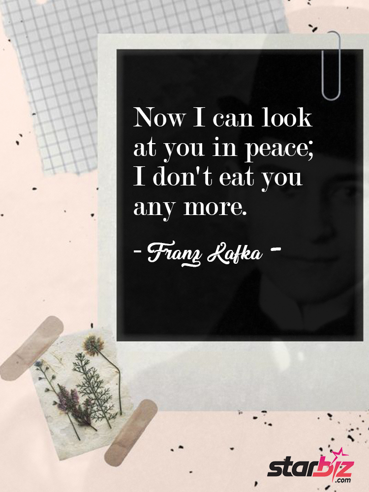 Franz Kafka Quotes 7