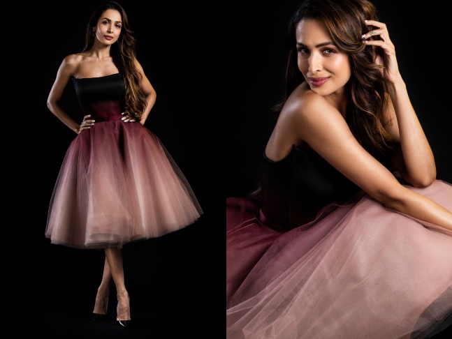 Malaika Arora Net Worth 2