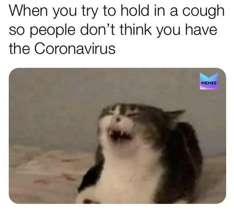 Coronavirus Meme 13