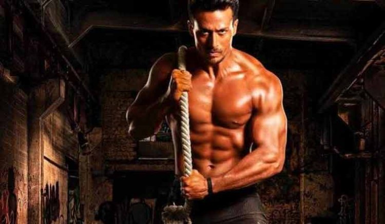 Tiger Baaghi 3