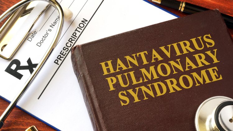 Hantavirus 1