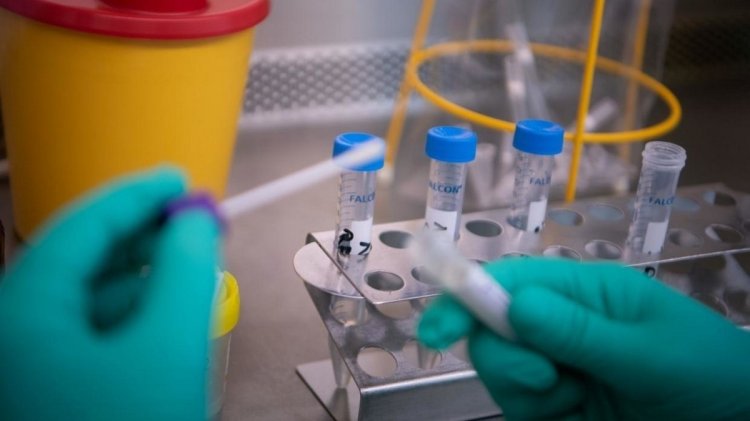 Test Kit Of Coronavirus