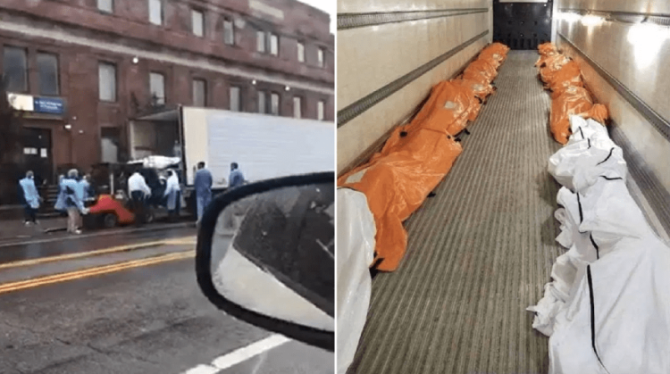 New York Fork Lift Bodies