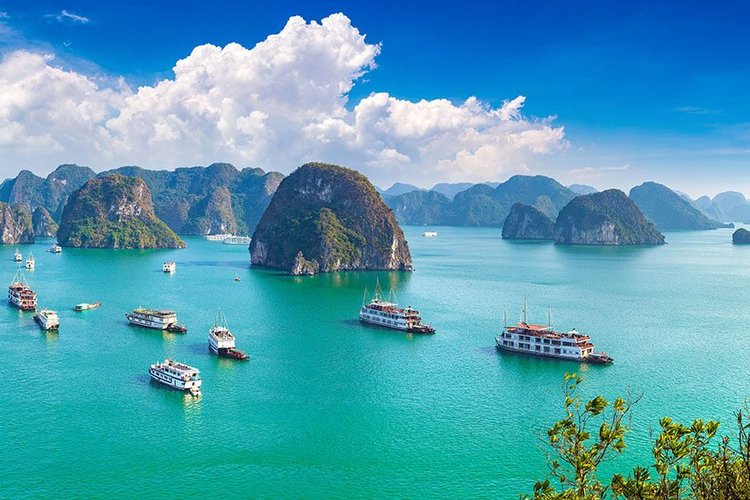 vietnam best time to visit
