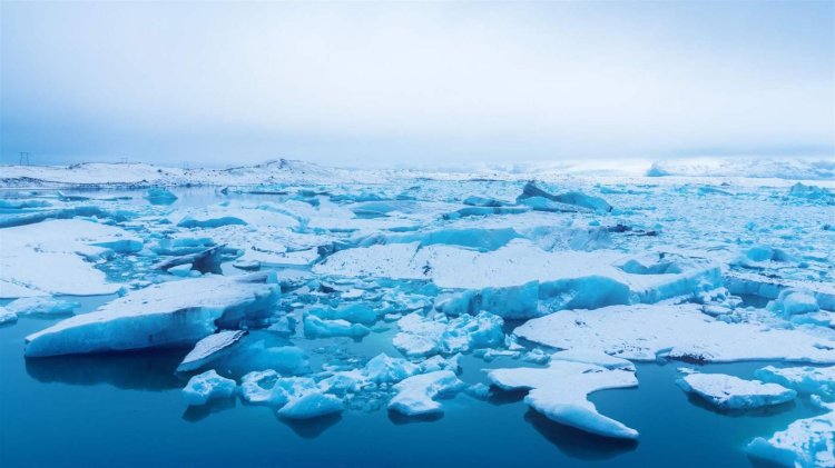 Arctic Environment