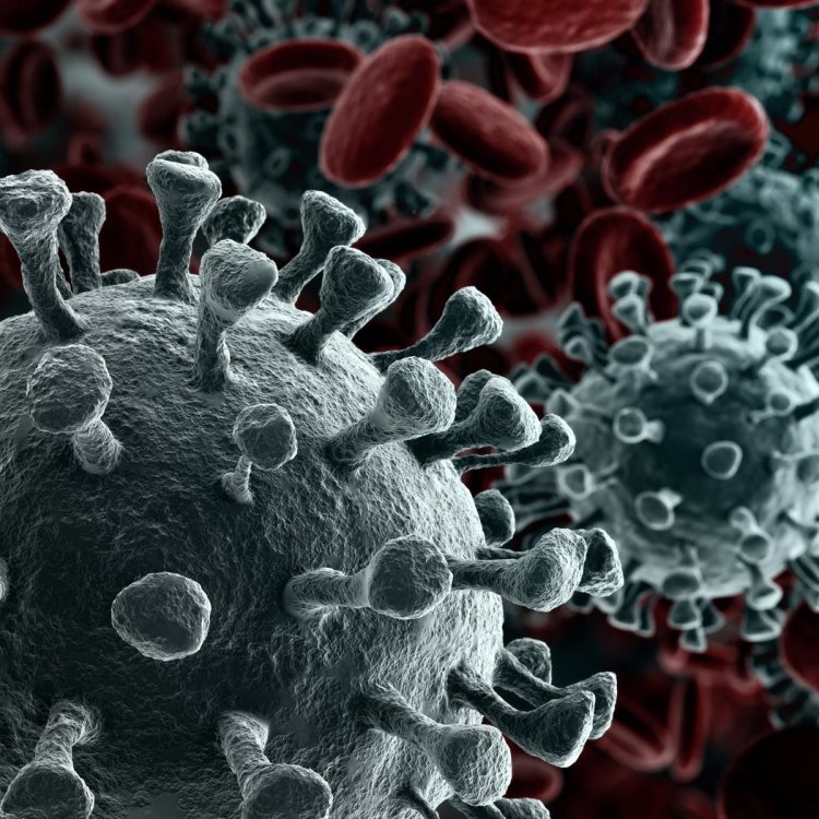 Coronavirus Transmission