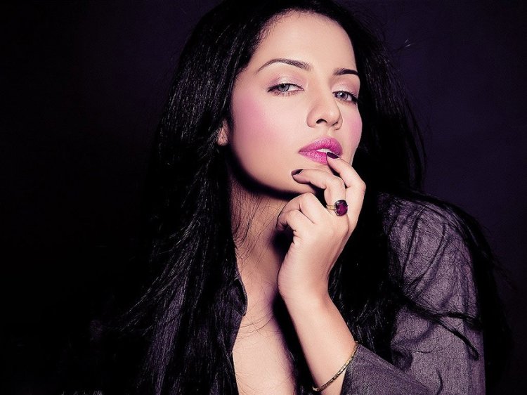 Celina Jaitly Set To Stage Comeback With An OTT Film - StarBiz.com