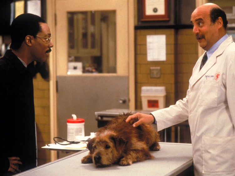 Doctor Dolittle 1 Movie Download
