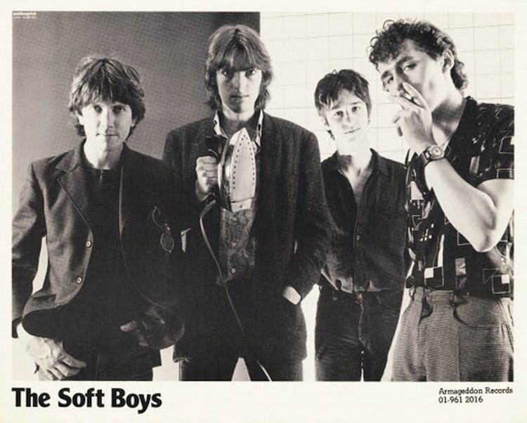 Matthew Seligman In The Soft Boys