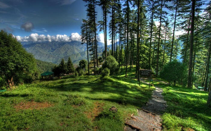 Top 10 Tourist Destinations In India Dhanaulti