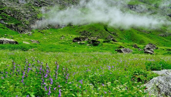 Top 10 Tourist Destinations In India Valley Of Flo