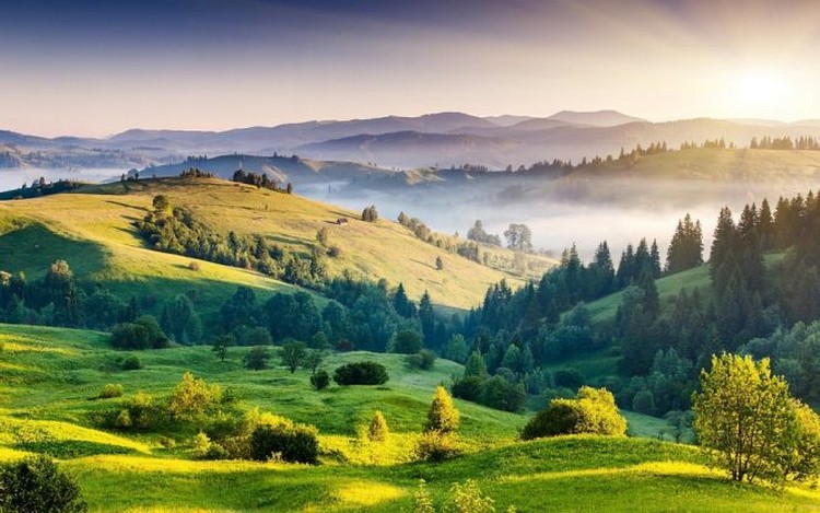 Kodaikanal Tamil Nadu honeymoon destinations in south India