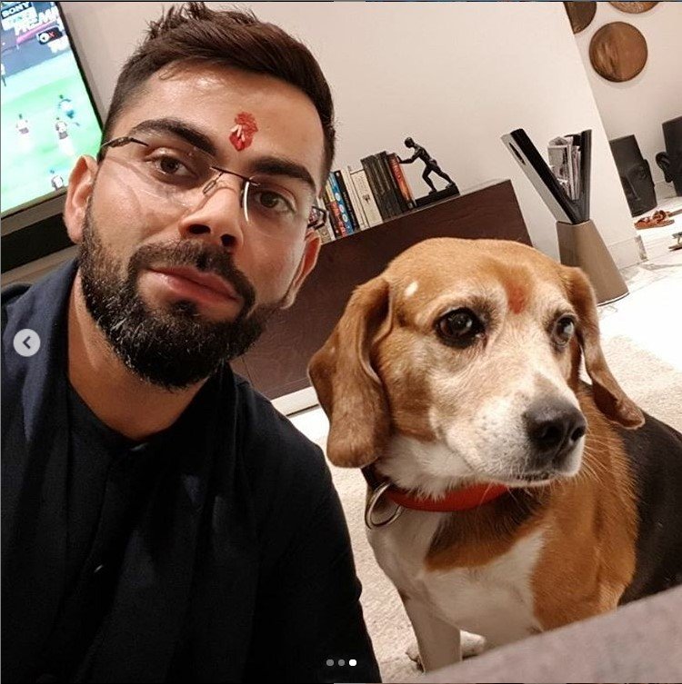 Unseen Pics Inside Luxury Love Nest Of Virat Kohli and Anushka Sharma