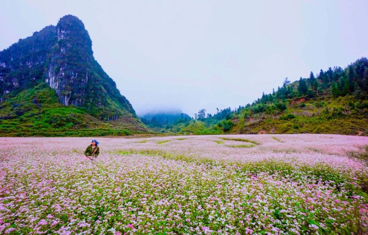 Ha Giang Best Places In Vietnam