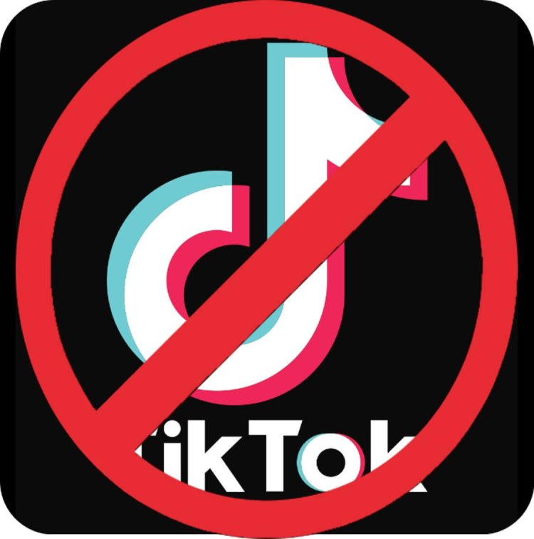 Tiktok Ban Date 2024 Rose Rodina