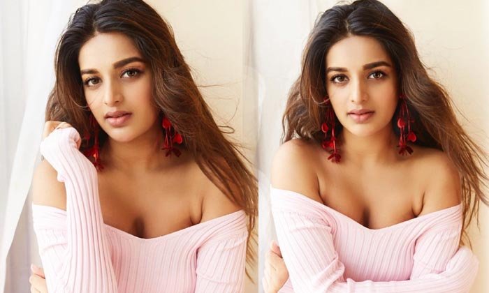 Nidhhi Agerwal Hot 3