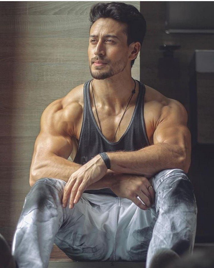 Tiger Shroff Body Pics Then And Now Show Incredible Endurance For Training