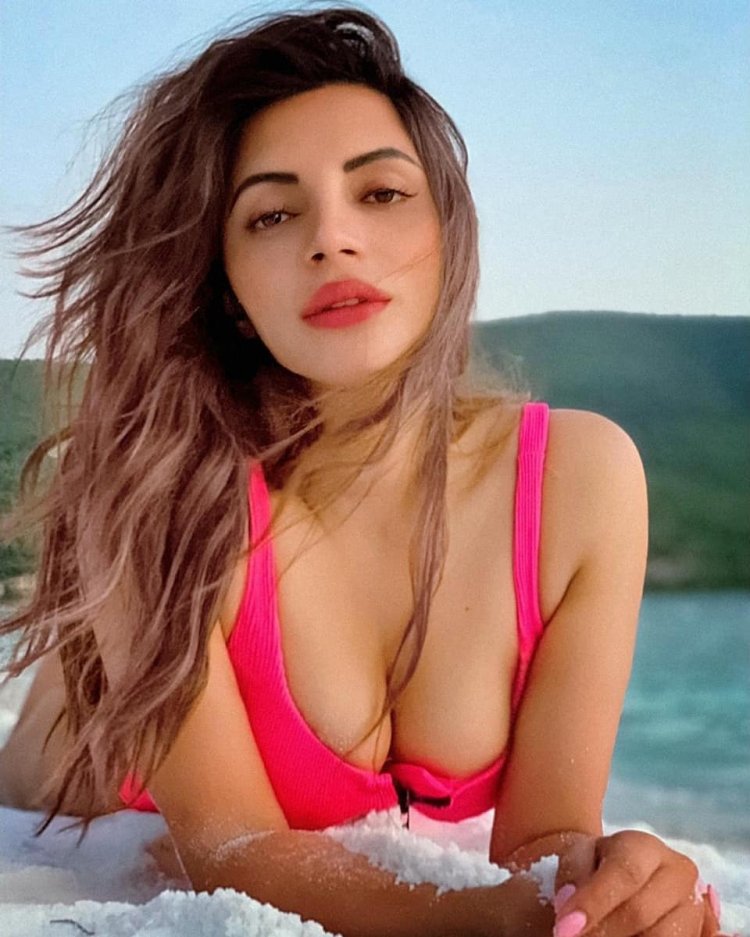 Shama Sikander Hot 4