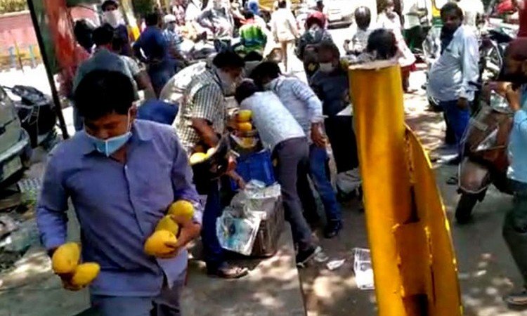 Looting Mangoes In Delhi